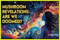 Unraveling The Disbandment Of Fifty Fifty: Insights And Revelations